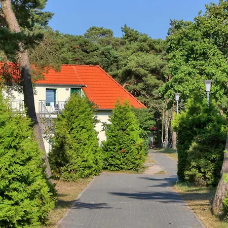 In * 알텐키르헨
